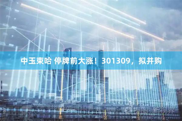 中玉束哈 停牌前大涨！301309，拟并购