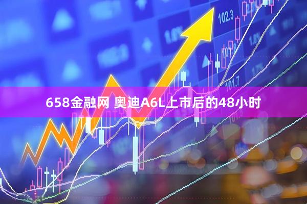 658金融网 奥迪A6L上市后的48小时