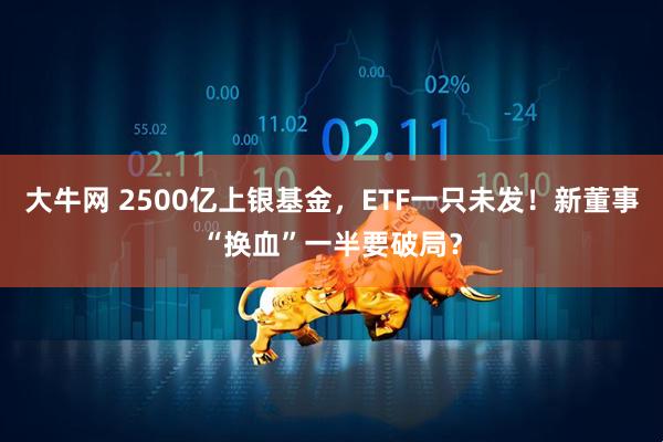 大牛网 2500亿上银基金，ETF一只未发！新董事“换血”一半要破局？