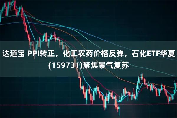 达道宝 PPI转正，化工农药价格反弹，石化ETF华夏(159731)聚焦景气复苏